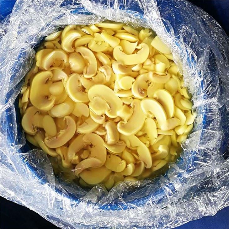 Sliced Champignon In SO2 In Drum (3)
