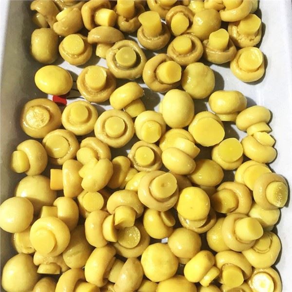 Soolatud šampinjoniseen